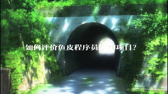 如何评价鱼皮程序员的OJ项目？