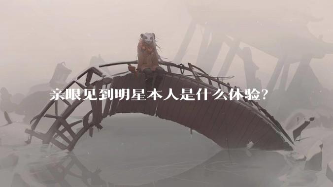 亲眼见到明星本人是什么体验？