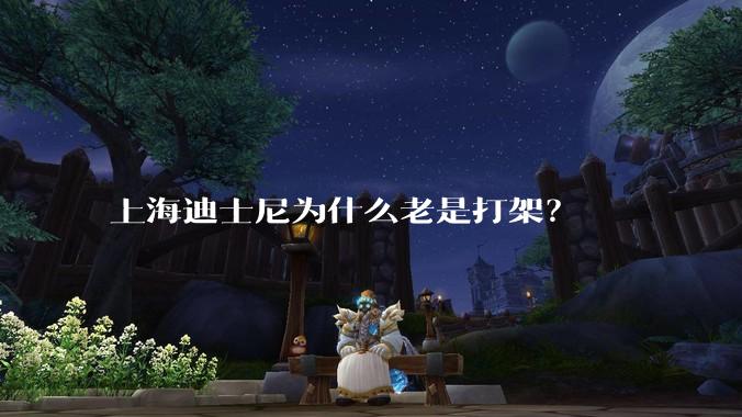 上海迪士尼为什么老是打架？