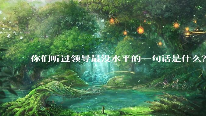 你们听过领导最没水平的一句话是什么？