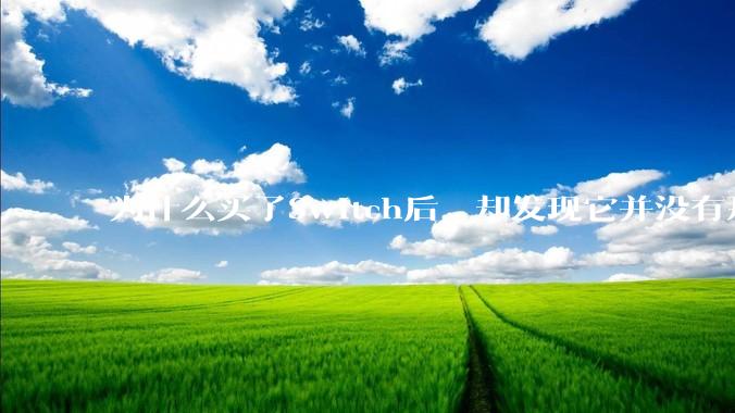 为什么买了Switch后，却发现它并没有那么好玩？