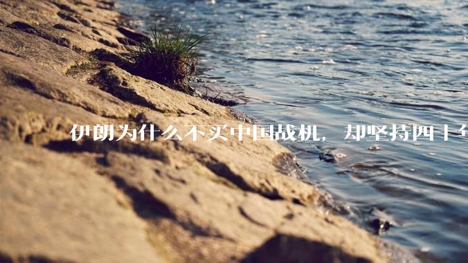 伊朗为什么不买中国战机，却坚持四十年用老旧的苏联米格29、美国F14雄猫战斗机?