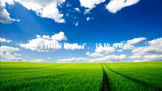 有个自闭症的孩子，该放弃吗？