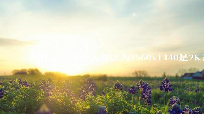为什么大部分人都认为2560x1440是2K？