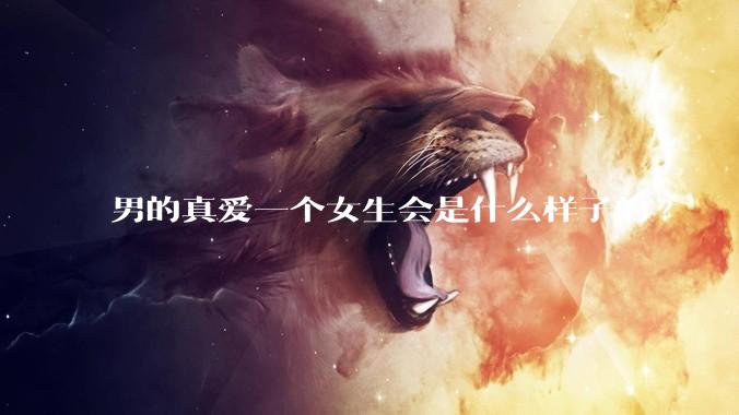 男的真爱一个女生会是什么样子的?
