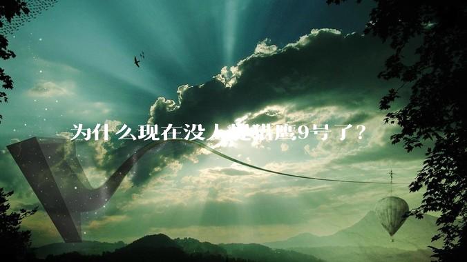 为什么现在没人提猎鹰9号了？