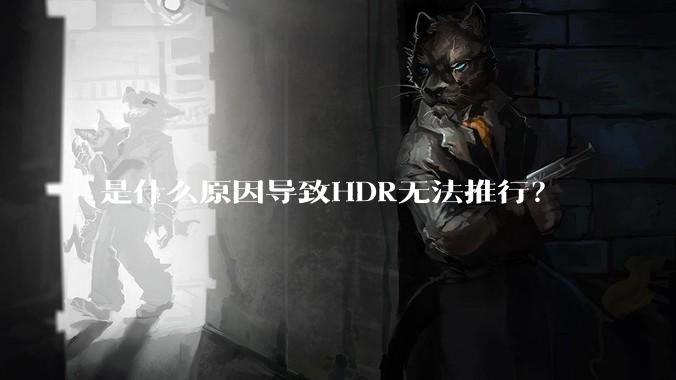 是什么原因导致HDR无法推行？