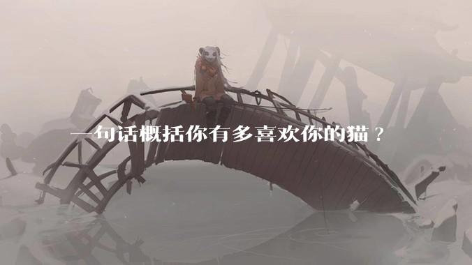一句话概括你有多喜欢你的猫?